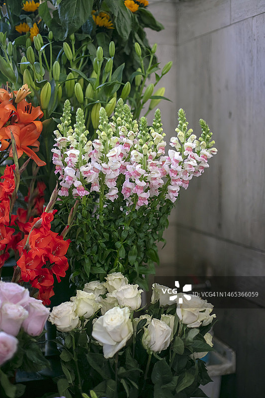 花卉市场上的鲜花图片素材