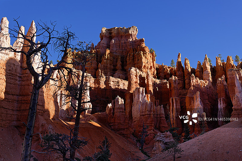在皇后花园小径上漫步，缓解当今世界的压力图片素材