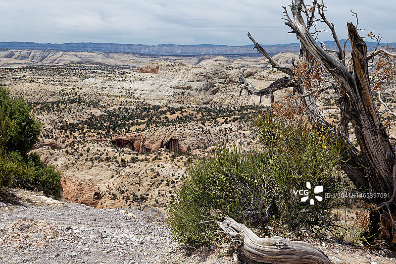 你好，大阶梯-埃斯卡兰特国家纪念碑！图片素材