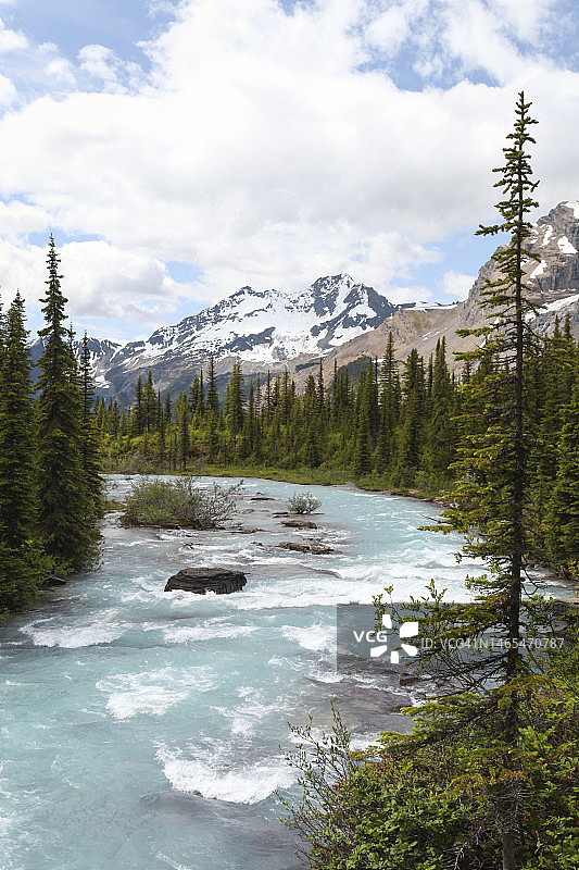 森林中的河流图片素材