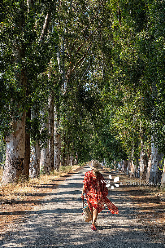 一位女士走在绿树成荫的道路上图片素材