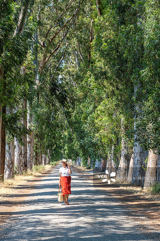 一位女士走在绿树成荫的道路上图片素材