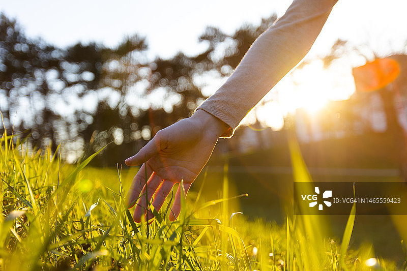 在田野里的年轻女人的手图片素材