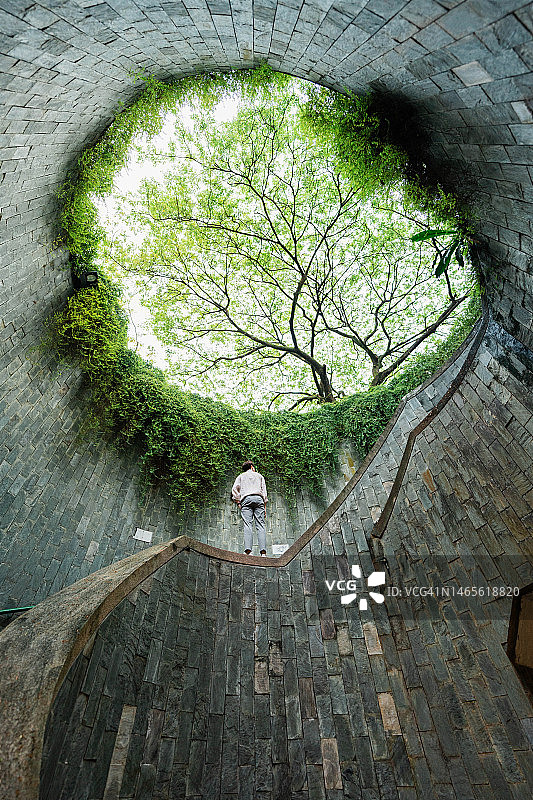 在新加坡，站在螺旋楼梯上的巨树下的年轻男人图片素材