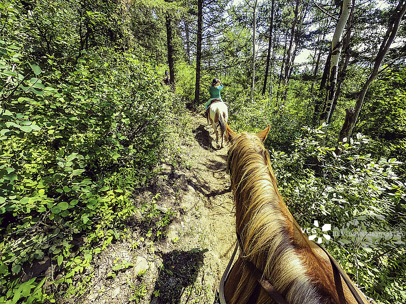 在国家公园与孩子们一起骑马的个人视角，风景优美图片素材
