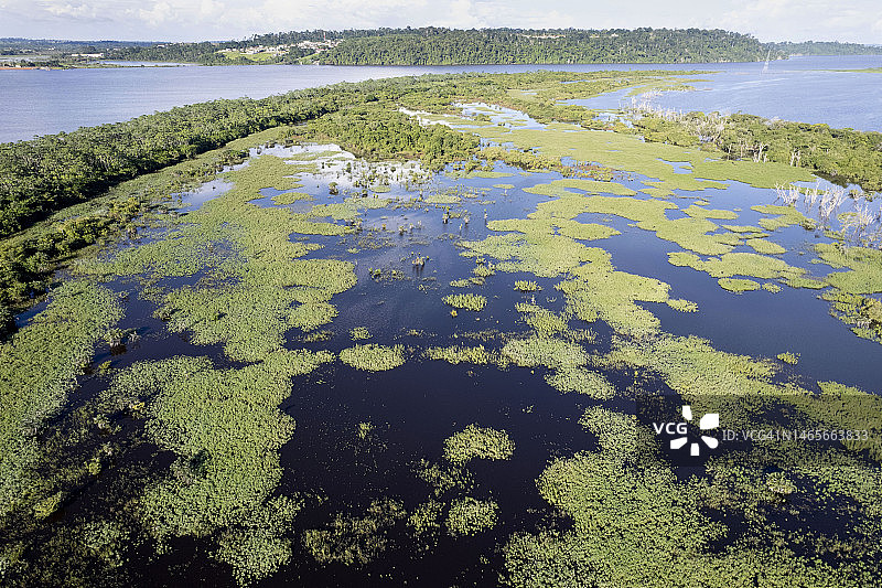 欣古河-亚马逊河流巴西岛屿航拍图片素材
