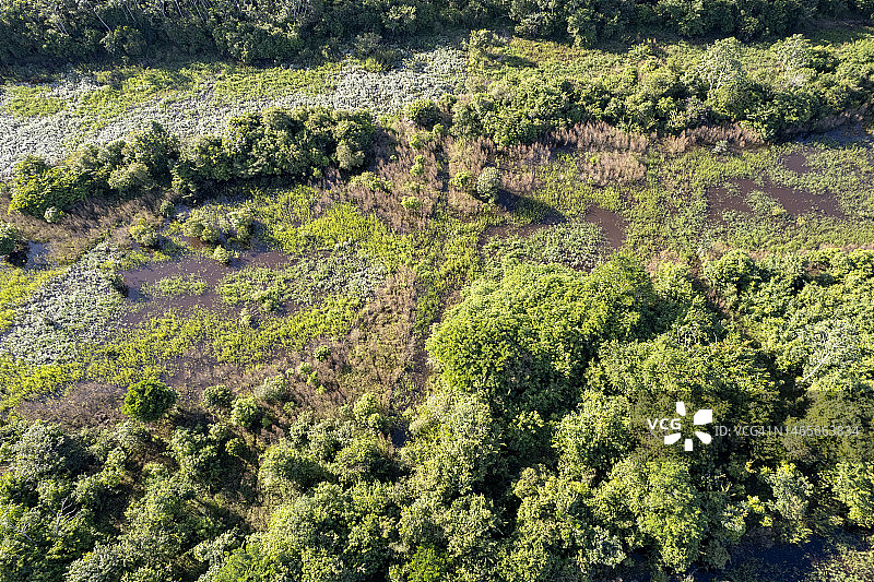 欣古河-亚马逊河流巴西岛屿航拍图片素材