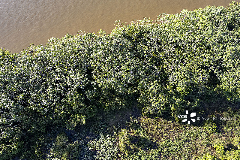欣古河-亚马逊河流巴西岛屿航拍图片素材