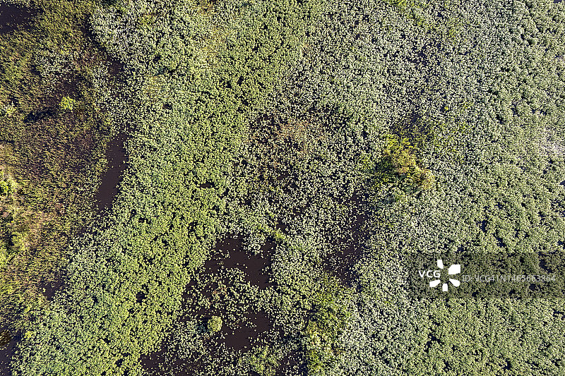 欣古河-亚马逊河流巴西岛屿航拍图片素材