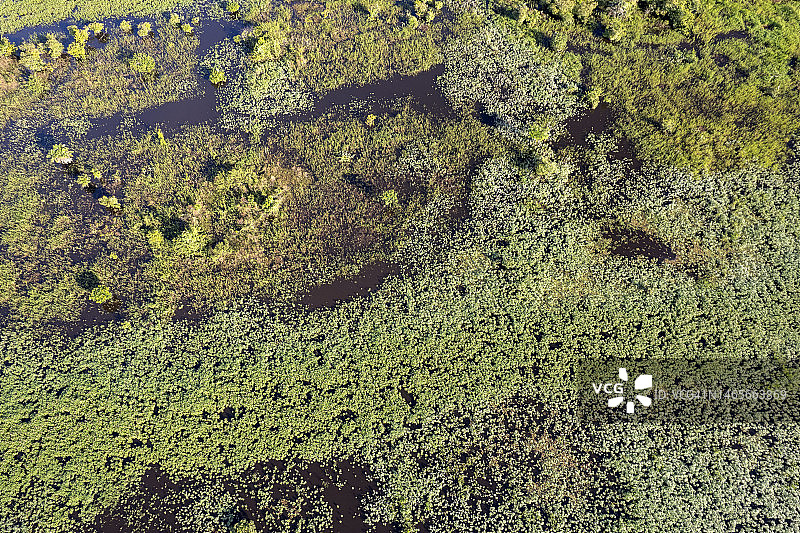 欣古河-亚马逊河流巴西岛屿航拍图片素材