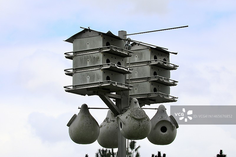 高架鸟巢，用于鸟类繁殖图片素材