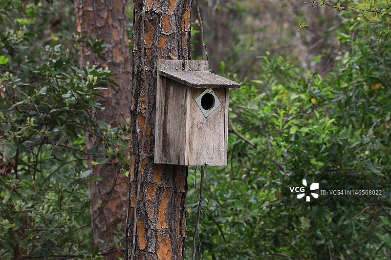 木质鸟窝图片素材