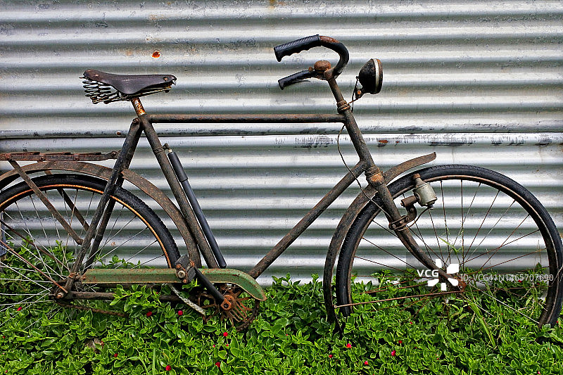 家庭花园里的旧自行车图片素材