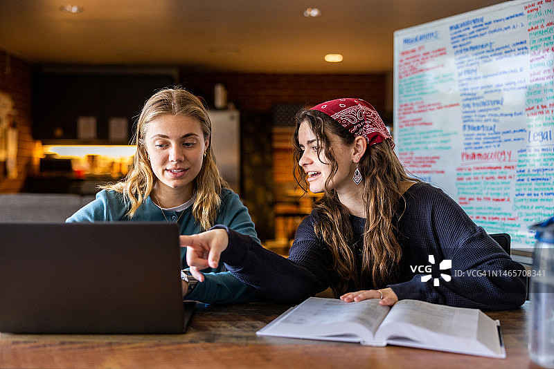 女大学生在大学使用笔记本电脑图片素材