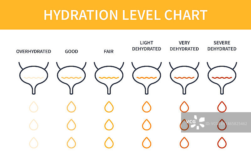 尿液颜色图表示例图片素材