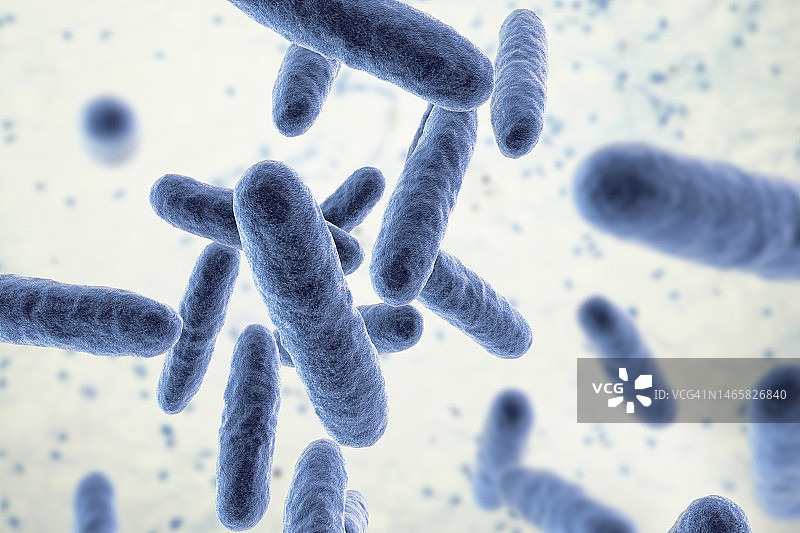 腐蚀埃肯菌插图图片素材