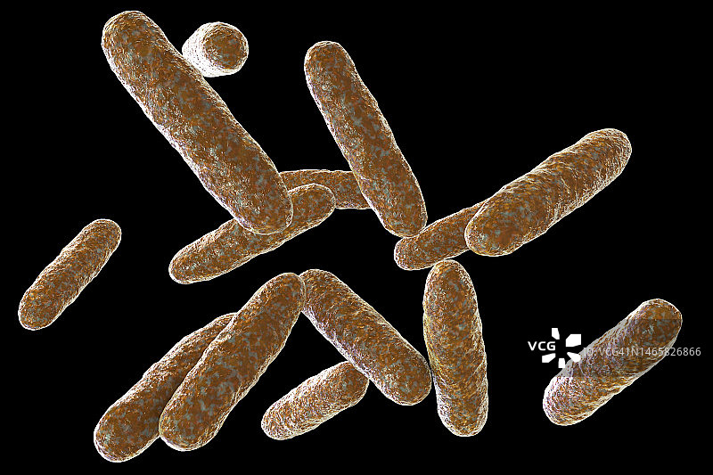 腐蚀埃肯菌插图图片素材