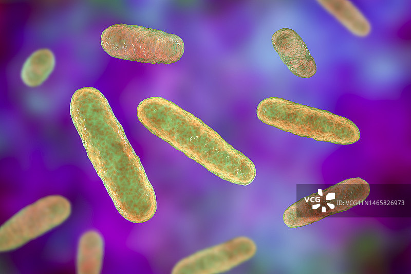 腐蚀埃肯菌插图图片素材