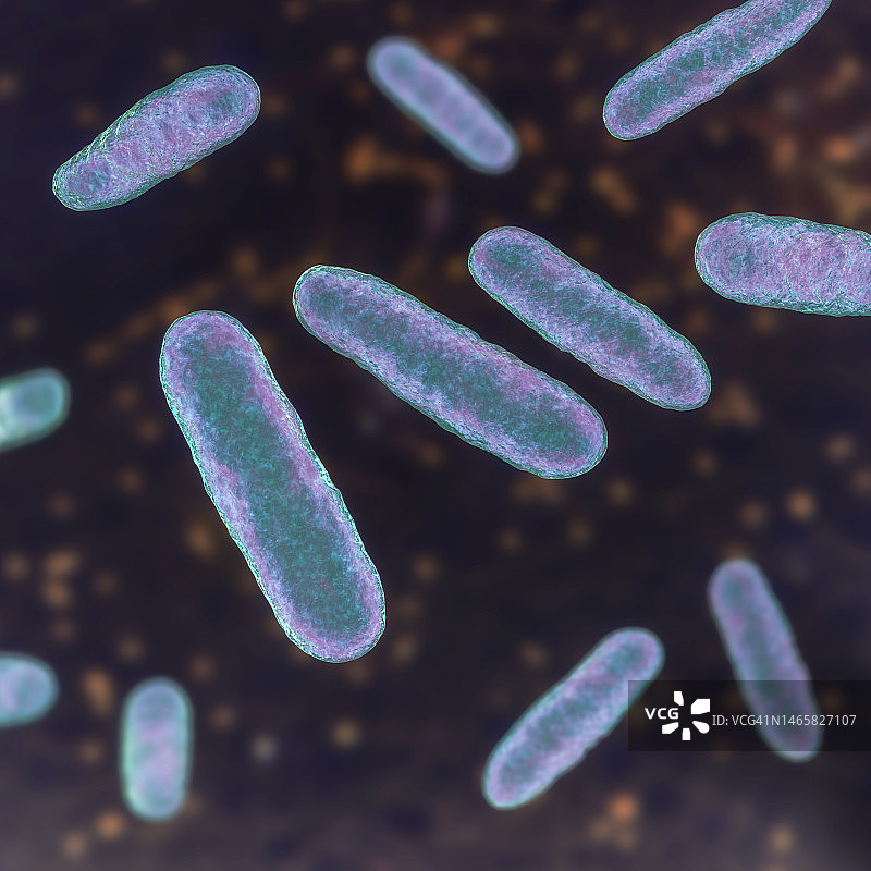 腐蚀埃肯菌插图图片素材