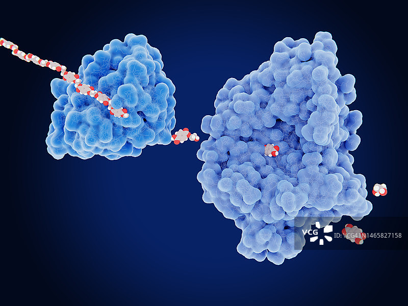 降解塑料的酶，图示图片素材