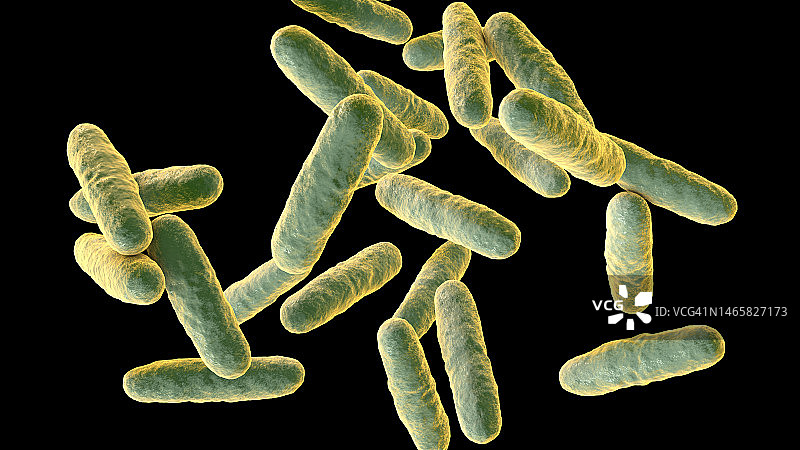 腐蚀埃肯菌插图图片素材