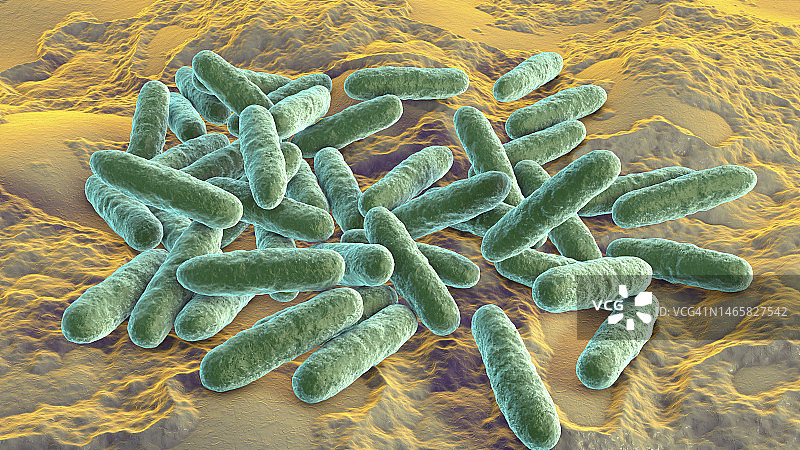 腐蚀埃肯菌插图图片素材