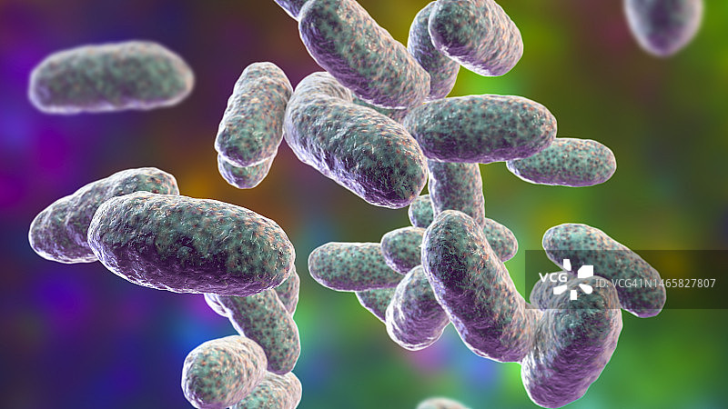 聚集杆菌 бактерии 插图图片素材