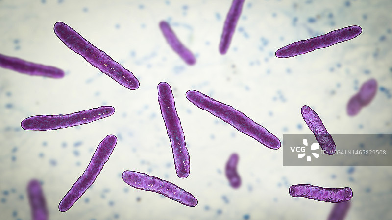 牛分枝杆菌细菌插图图片素材