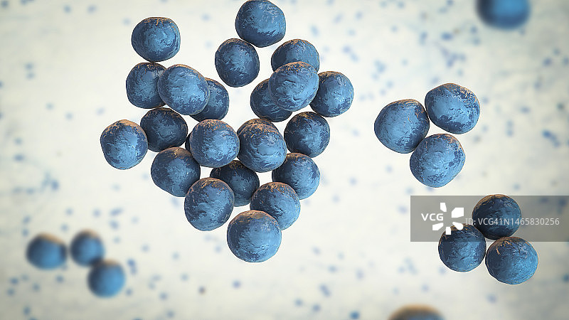 路邓葡萄球菌细菌示意图图片素材