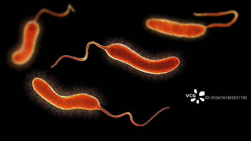 模拟弧菌细菌，图示图片素材