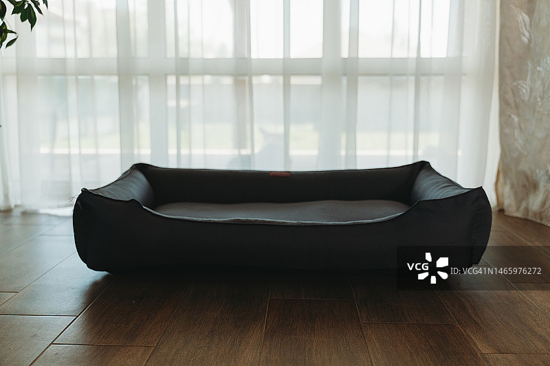 家里的宠物床图片素材