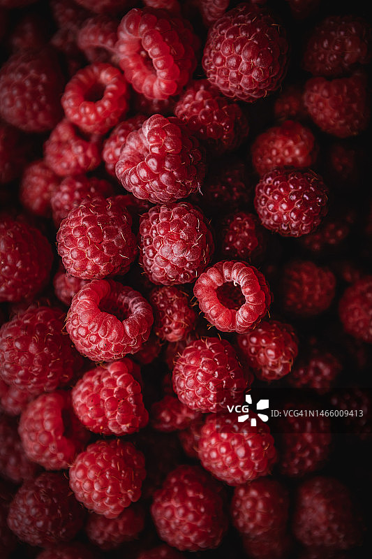 俄罗斯西伯利亚覆盆子全画幅照片图片素材