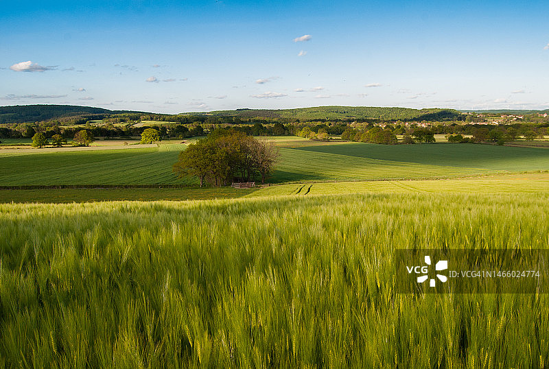 法国农业田野风光图片素材