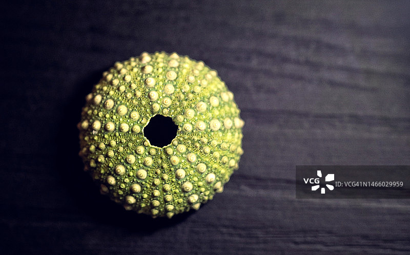 桌上装饰特写图片素材