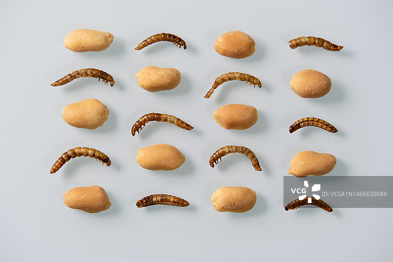 白色背景下的花生俯视图，奥地利格拉茨图片素材