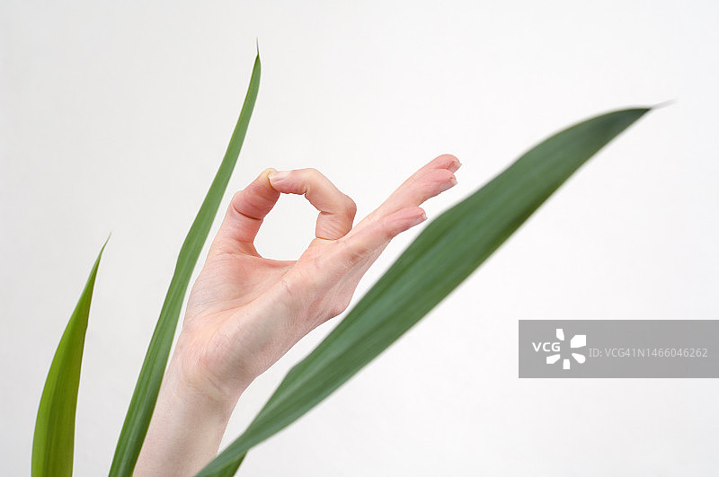 手部瑜伽手印图片素材