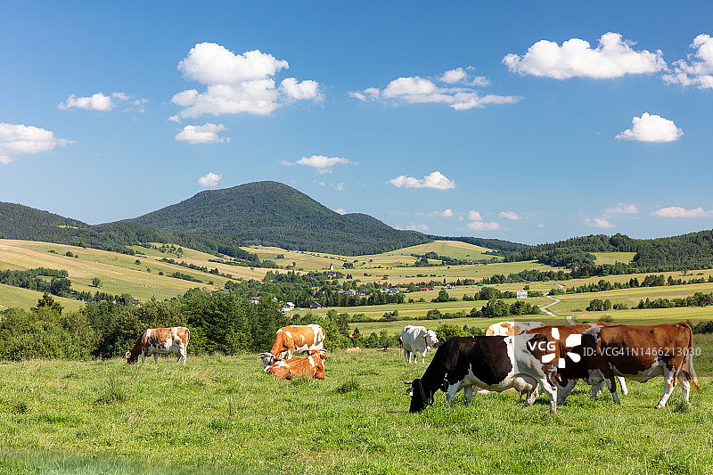 拉科瓦——波兰贝斯基尼斯基山脉的最高峰，2020年图片素材