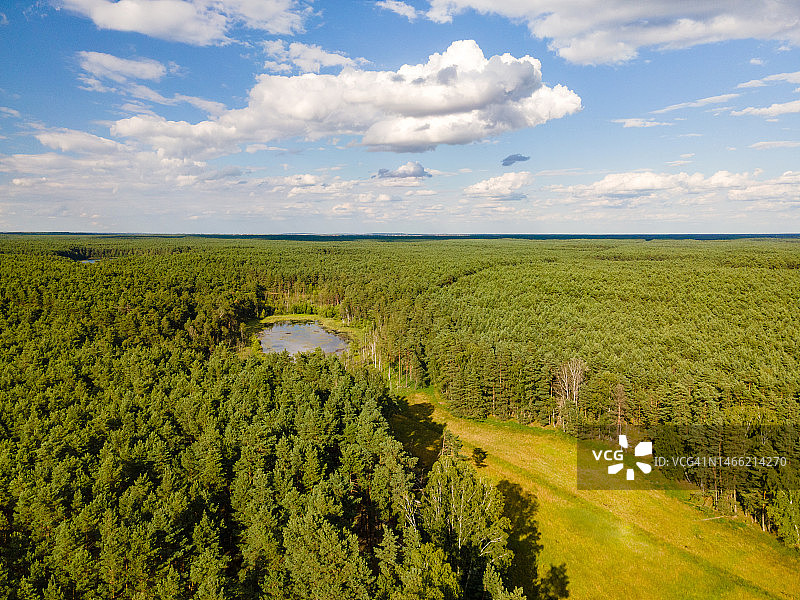 波兰波莫瑞省卡舒比亚地区的图霍尔斯基国家公园（2020年）图片素材