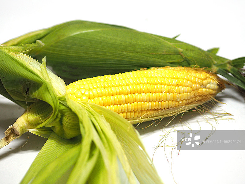 白色背景上的甜玉米图片素材