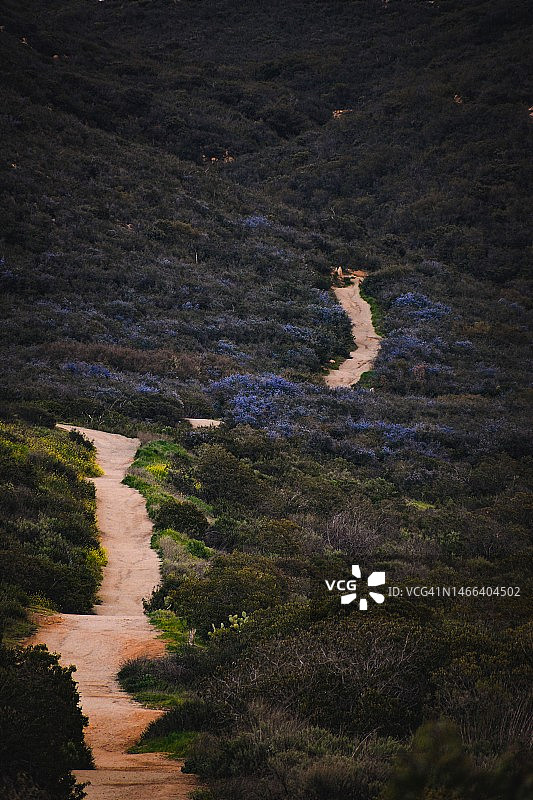 田野中的高角度小路图片素材