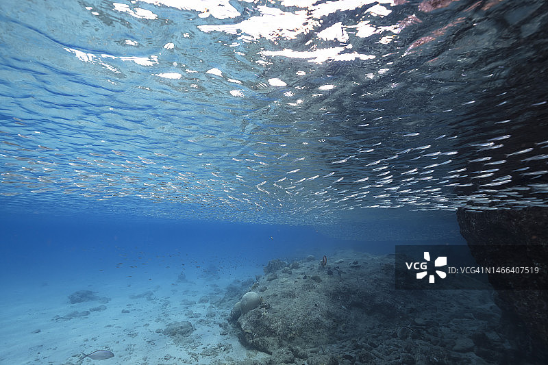 加勒比海珊瑚礁海景图片素材