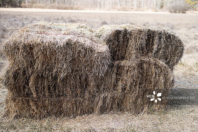 有bales图片素材