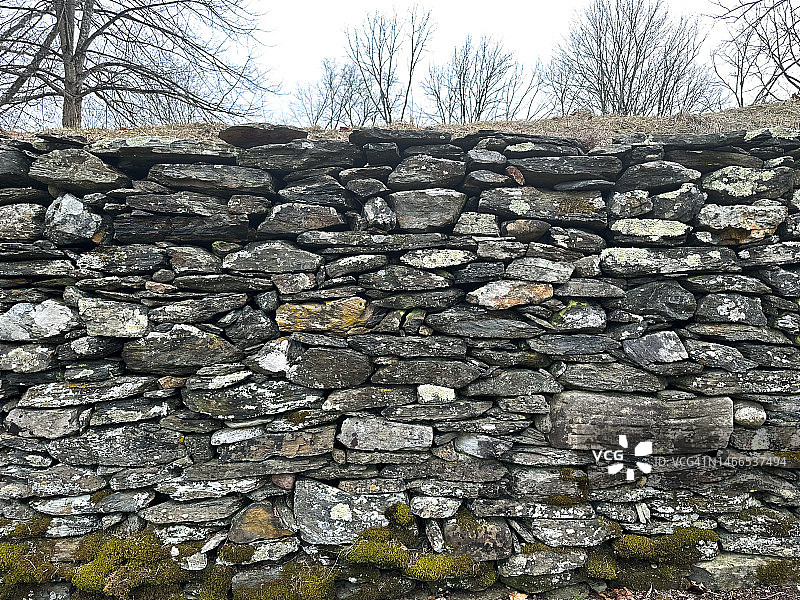 带有绿色苔藓细节和树景的外部石墙背景图片素材