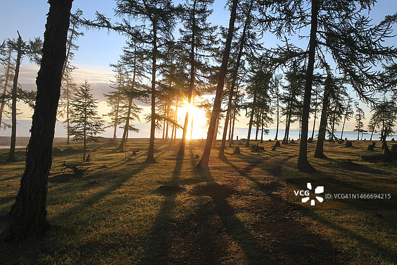 库苏古尔湖树木景观图片素材