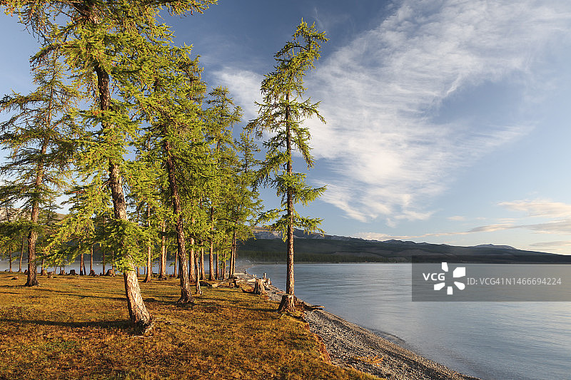 森林环绕的库苏古尔湖景色图片素材