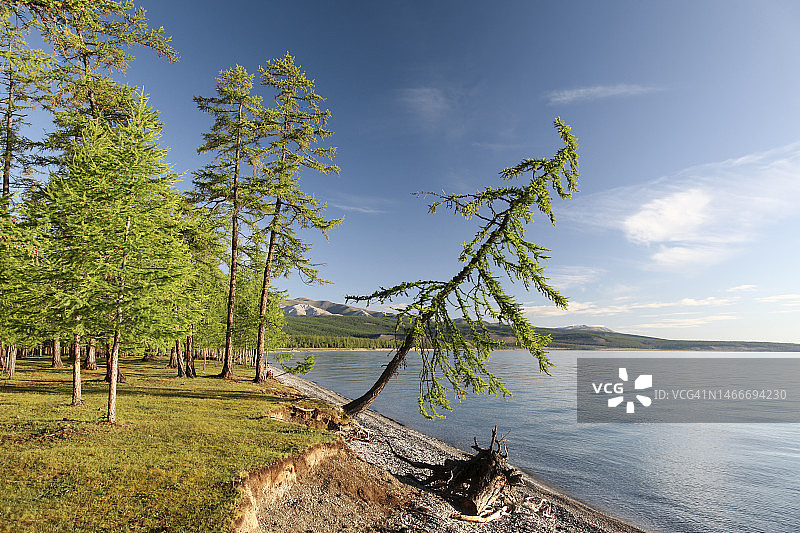 森林环绕的库苏古尔湖景色图片素材