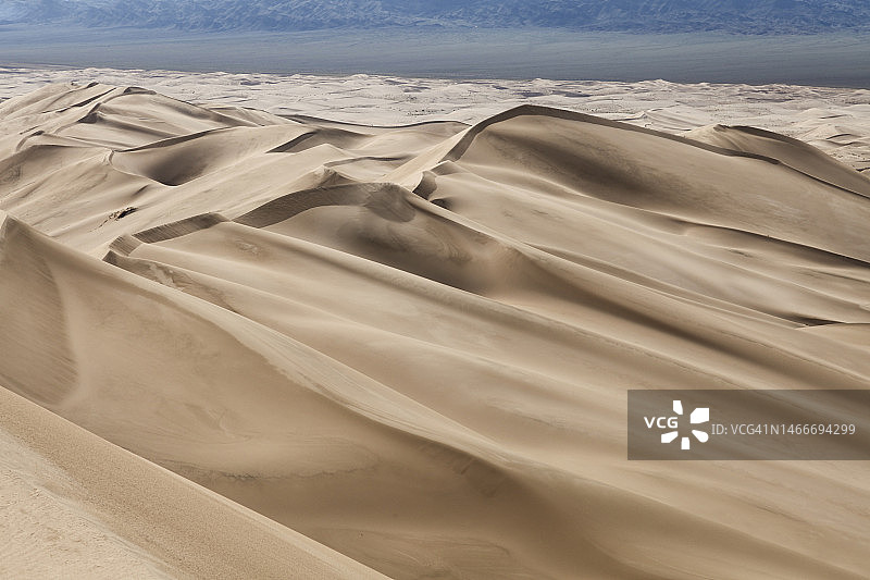 戈壁沙漠的洪果林沙丘图片素材