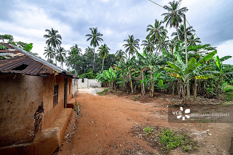 非洲桑给巴尔棕榈树下的乡村图片素材
