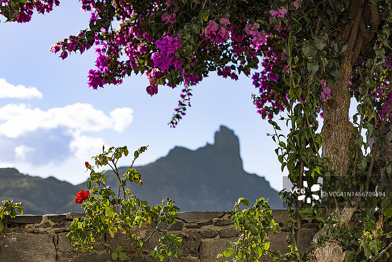 特赫达：大自然的壮丽火山和鲜花，西班牙拉斯帕尔马斯图片素材