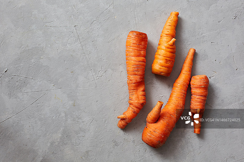 来自俄罗斯自家花园的连体胡萝卜图片素材